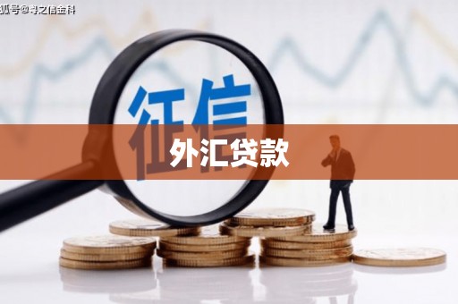 榆树外汇贷款