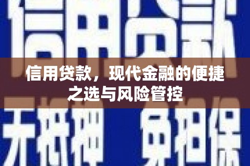 学甲信用贷款，现代金融的便捷之选与风险管控