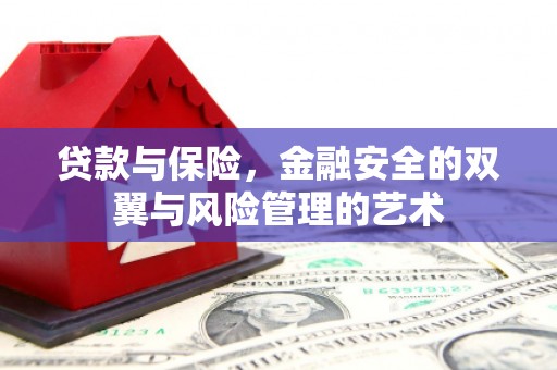 温泉贷款与保险，金融安全的双翼与风险管理的艺术