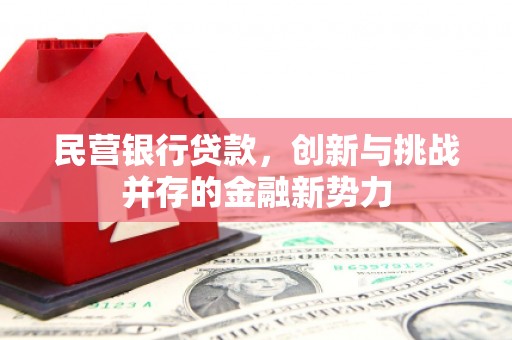 隆尧民营银行贷款，创新与挑战并存的金融新势力
