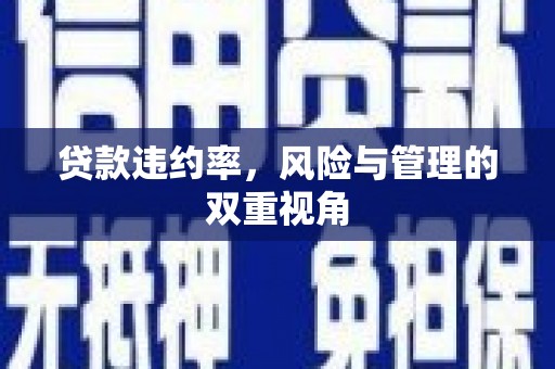 线西贷款违约率，风险与管理的双重视角