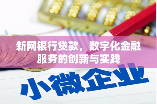 杭州新网银行贷款，数字化金融服务的创新与实践