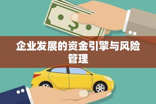 雨花企业发展的资金引擎与风险管理
