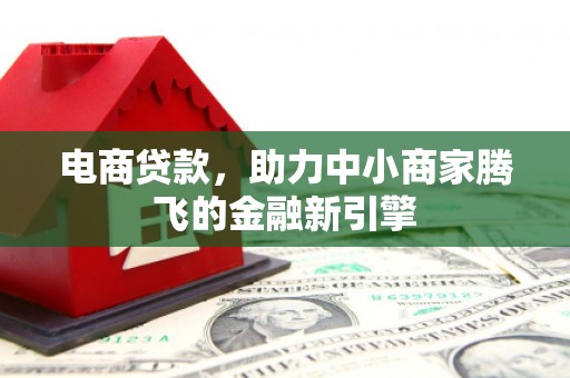 金乡电商贷款，助力中小商家腾飞的金融新引擎