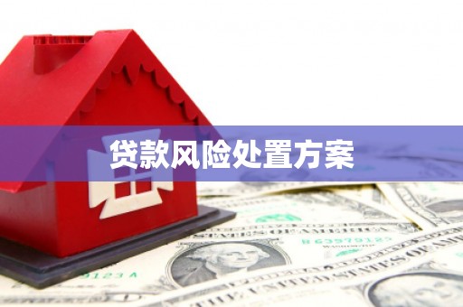 潼关贷款风险处置方案