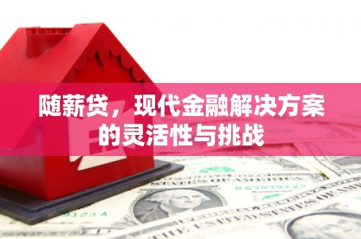 赫山随薪贷，现代金融解决方案的灵活性与挑战