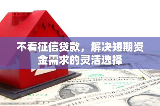 麻山不看征信贷款，解决短期资金需求的灵活选择