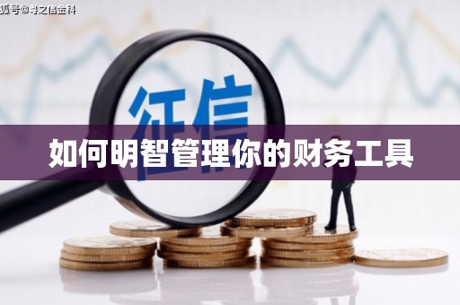万峦如何明智管理你的财务工具