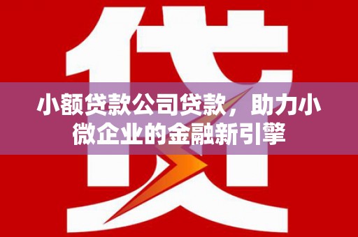 洪雅小额贷款公司贷款，助力小微企业的金融新引擎