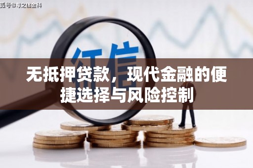 芦淞无抵押贷款，现代金融的便捷选择与风险控制