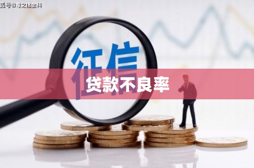 中埔贷款不良率