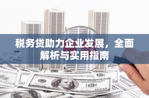 淮阳税务贷助力企业发展，全面解析与实用指南