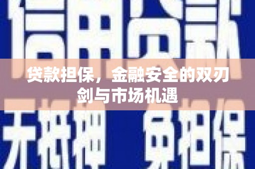 沙坡头贷款担保，金融安全的双刃剑与市场机遇