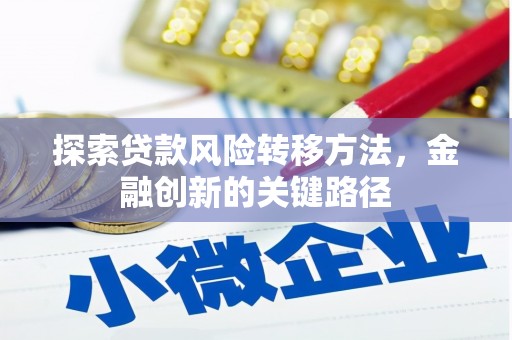 久治探索贷款风险转移方法，金融创新的关键路径