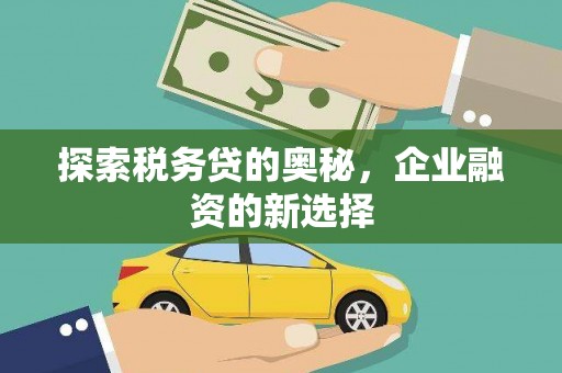 开阳探索税务贷的奥秘，企业融资的新选择