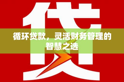 文安循环贷款，灵活财务管理的智慧之选