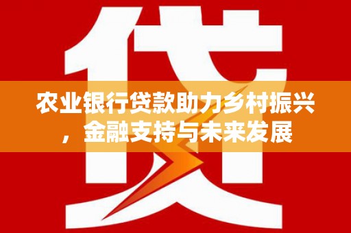 罗山农业银行贷款助力乡村振兴，金融支持与未来发展