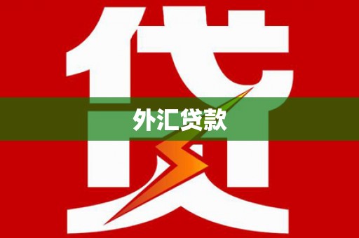 德庆外汇贷款