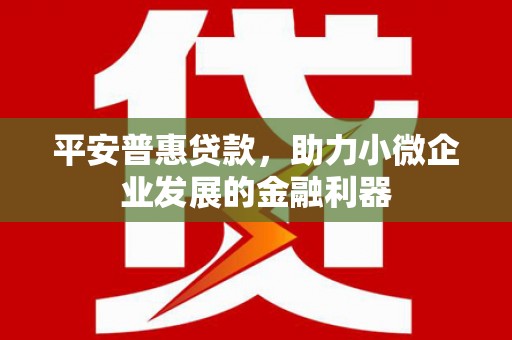 武邑平安普惠贷款，助力小微企业发展的金融利器