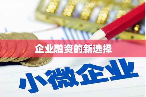 巴里坤企业融资的新选择