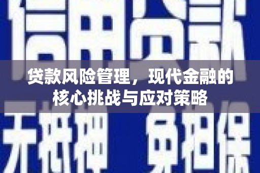 府谷贷款风险管理，现代金融的核心挑战与应对策略