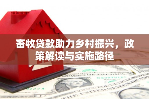 淮上畜牧贷款助力乡村振兴，政策解读与实施路径