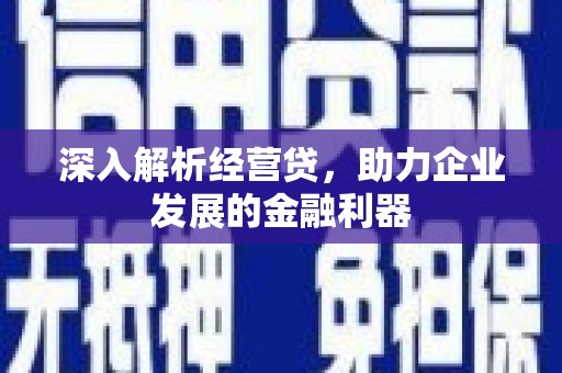 长白深入解析经营贷，助力企业发展的金融利器
