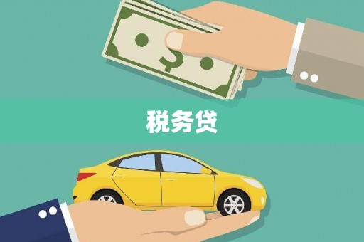 镇坪税务贷