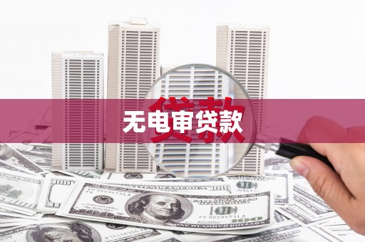 容县无电审贷款