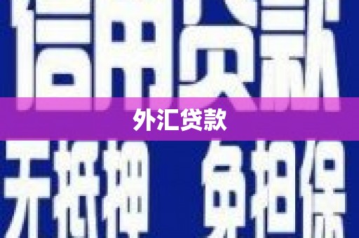 海安外汇贷款
