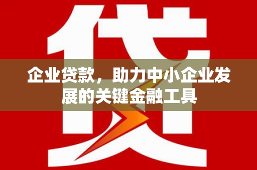 郫县企业贷款，助力中小企业发展的关键金融工具