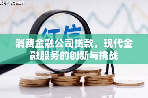 石家庄消费金融公司贷款，现代金融服务的创新与挑战