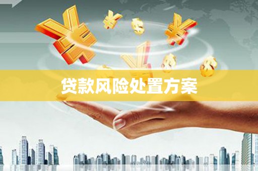镇巴贷款风险处置方案