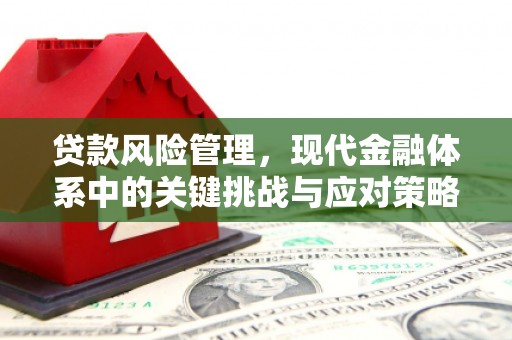 天水贷款风险管理，现代金融体系中的关键挑战与应对策略