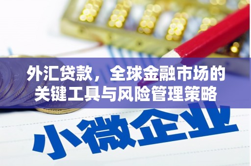 安化外汇贷款，全球金融市场的关键工具与风险管理策略
