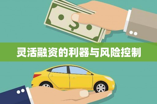 员林灵活融资的利器与风险控制