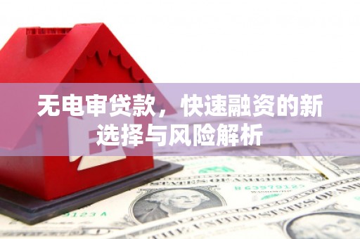 德庆无电审贷款，快速融资的新选择与风险解析