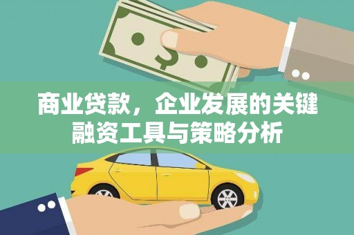 临高商业贷款，企业发展的关键融资工具与策略分析