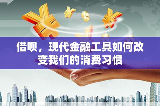 西海岸借呗，现代金融工具如何改变我们的消费习惯