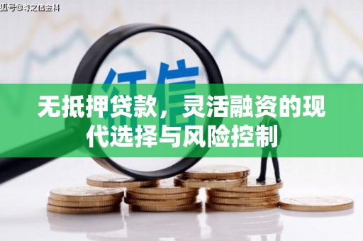 浑源无抵押贷款，灵活融资的现代选择与风险控制