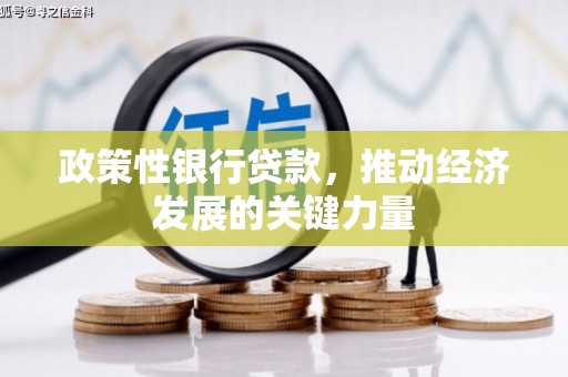 安丘政策性银行贷款，推动经济发展的关键力量