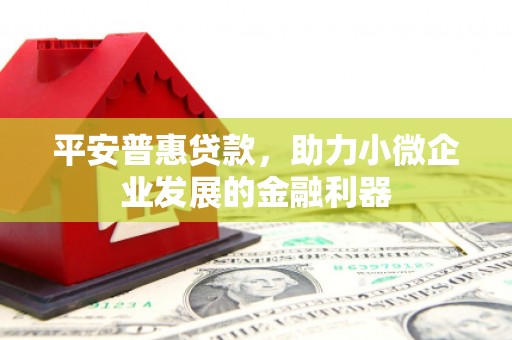 上林平安普惠贷款，助力小微企业发展的金融利器