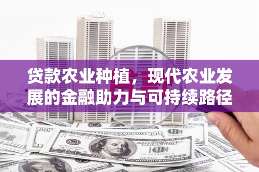 昂仁贷款农业种植，现代农业发展的金融助力与可持续路径