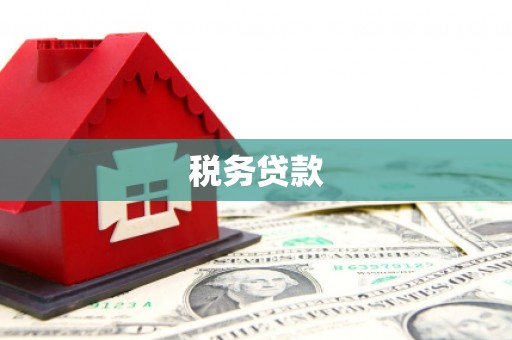 开福税务贷款