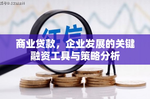 盐池商业贷款，企业发展的关键融资工具与策略分析