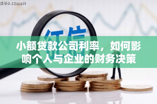 水上小额贷款公司利率，如何影响个人与企业的财务决策