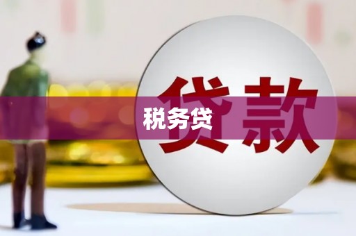 同心税务贷