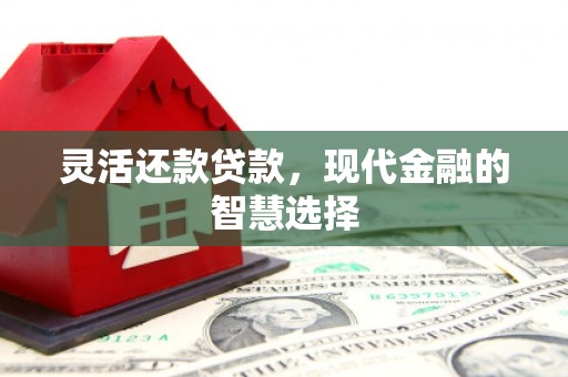 电白灵活还款贷款，现代金融的智慧选择