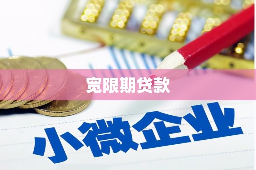 定远宽限期贷款