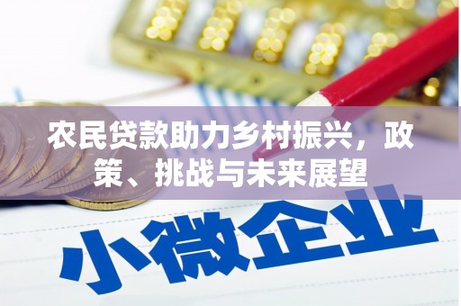 太保农民贷款助力乡村振兴，政策、挑战与未来展望